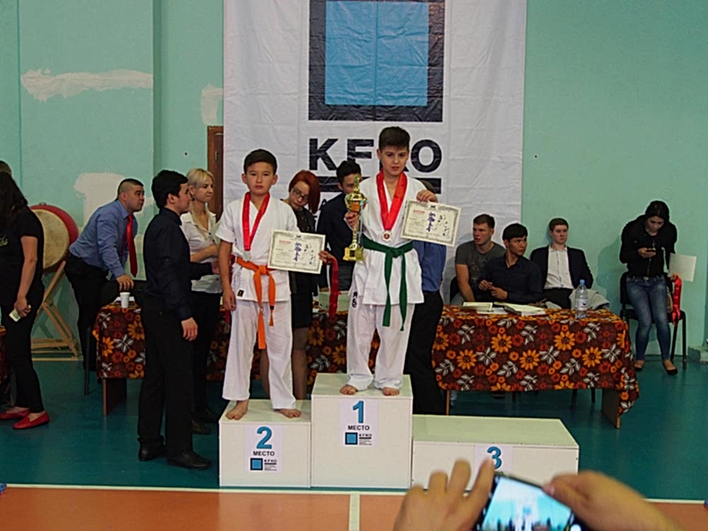 киокушинкай каратэ